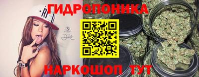 дмт Канаш