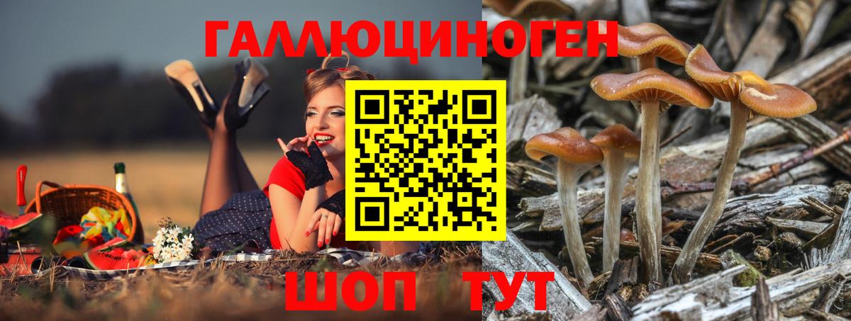 Галлюциногенные грибы прущие грибы Лабытнанги